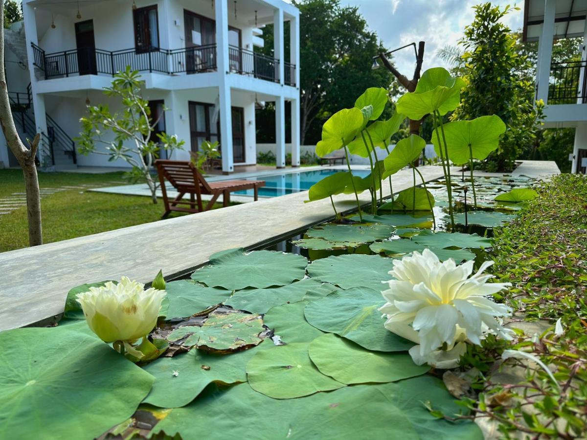 Finch Tangalle Exterior foto