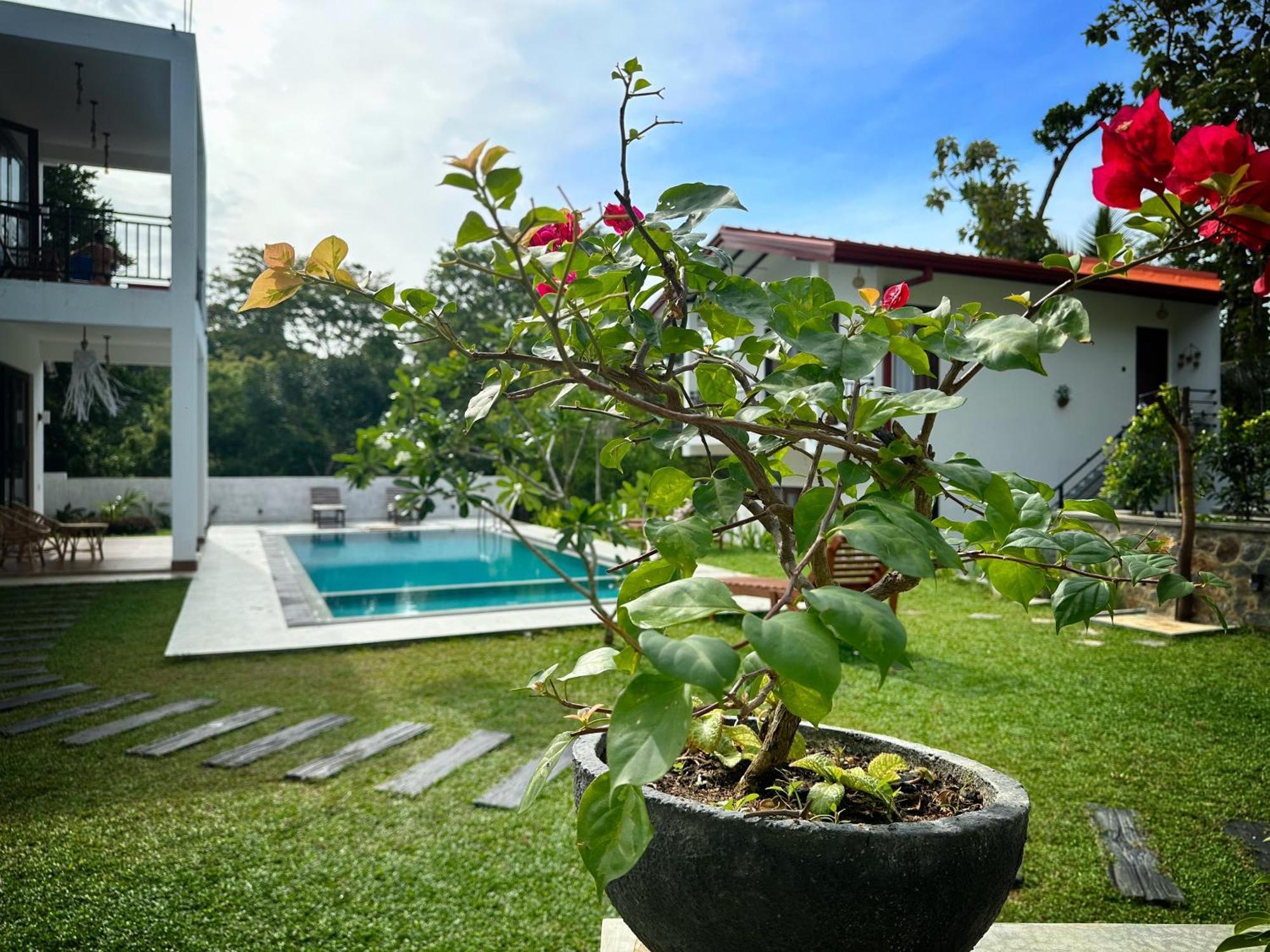 Finch Tangalle Exterior foto